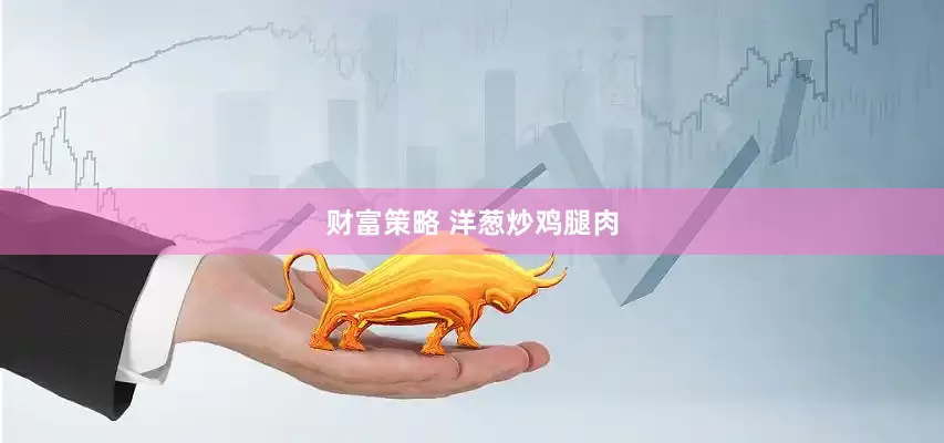 财富策略 洋葱炒鸡腿肉
