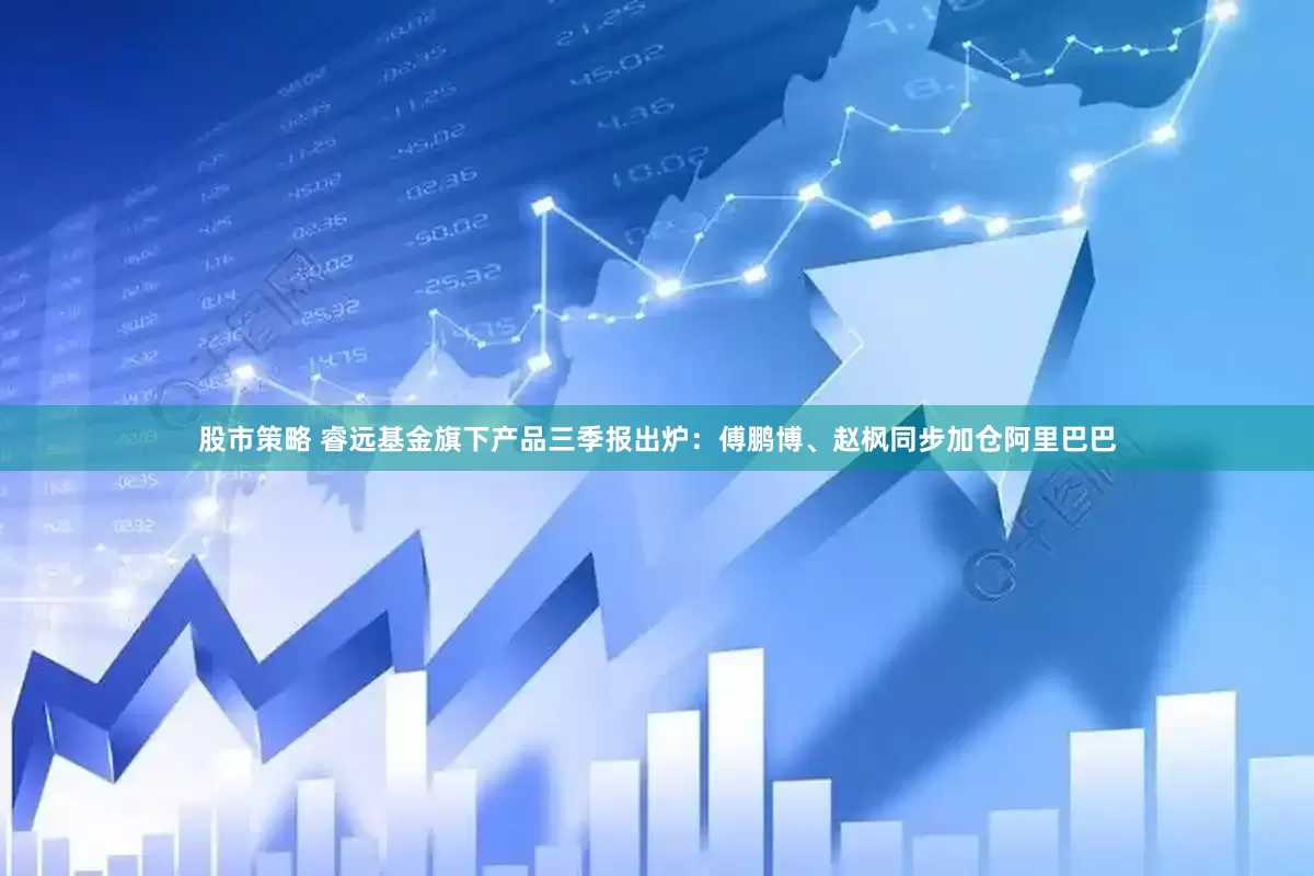 股市策略 睿远基金旗下产品三季报出炉：傅鹏博、赵枫同步加仓阿里巴巴