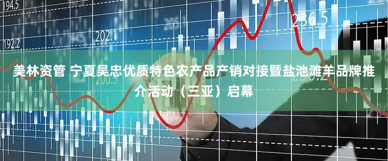 美林资管 宁夏吴忠优质特色农产品产销对接暨盐池滩羊品牌推介活动（三亚）启幕