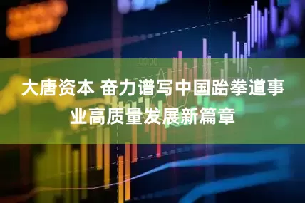 大唐资本 奋力谱写中国跆拳道事业高质量发展新篇章